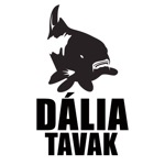 Freestyle Rakós Botos verseny